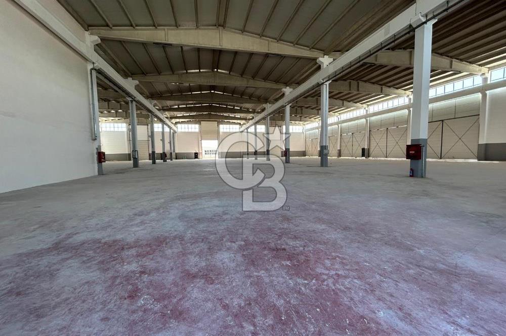 FACTORY FOR SALE IN TEMELLI-MALIKOY BASKENT OSB