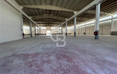 FACTORY FOR SALE IN TEMELLI-MALIKOY BASKENT OSB