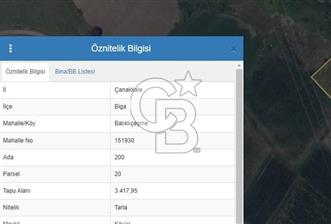 ÇANAKKALE BİGA BALIKLIÇEŞME 3,5 DÖNÜM SATILIK TARLA