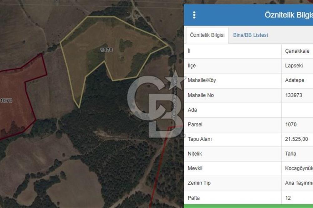 ÇANAKKALE LAPSEKİ ADATEPE GÖLETE YAKIN 16725 M2 SATILIK TARLA