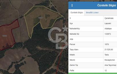 ÇANAKKALE LAPSEKİ ADATEPE GÖLETE YAKIN 16725 M2 SATILIK TARLA