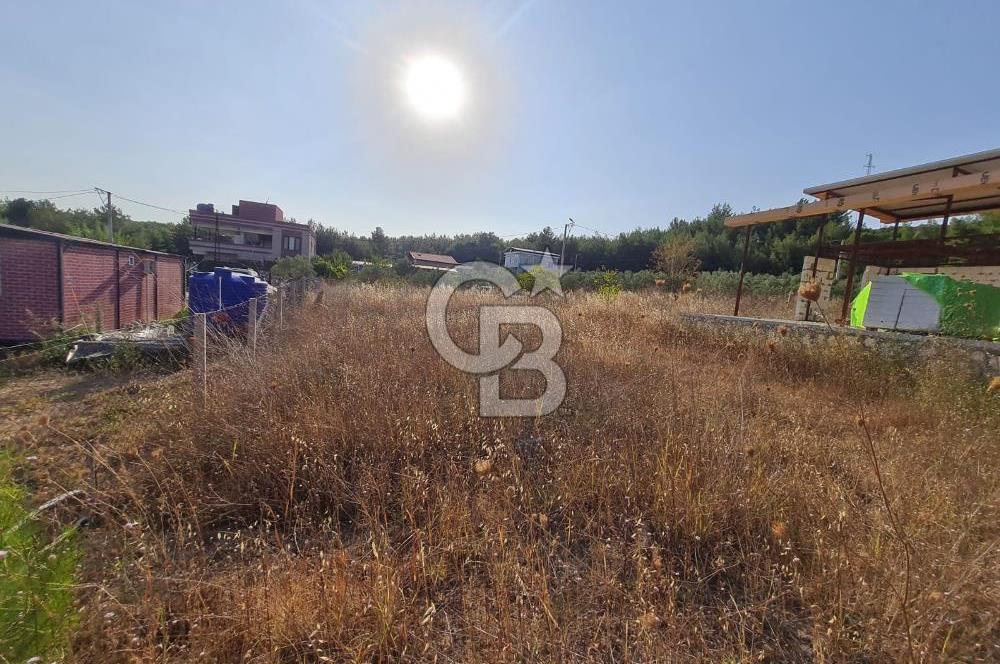 Belenbaşı'nda Müstakil Tapulu Doğayla İç İçe Arsa