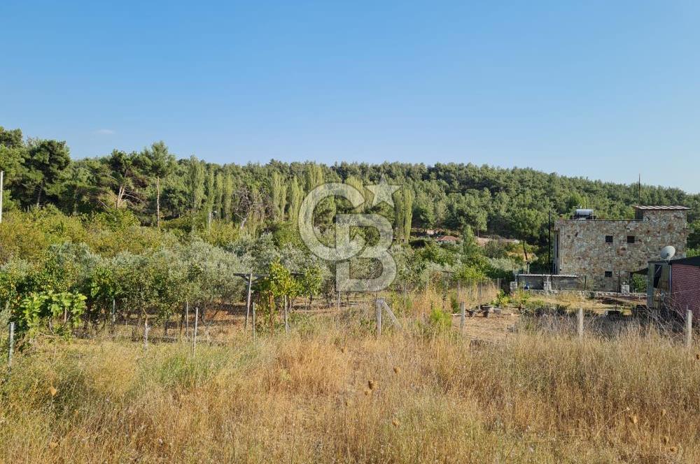 Belenbaşı'nda Müstakil Tapulu Doğayla İç İçe Arsa