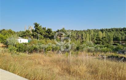 Belenbaşı'nda Müstakil Tapulu Doğayla İç İçe Arsa