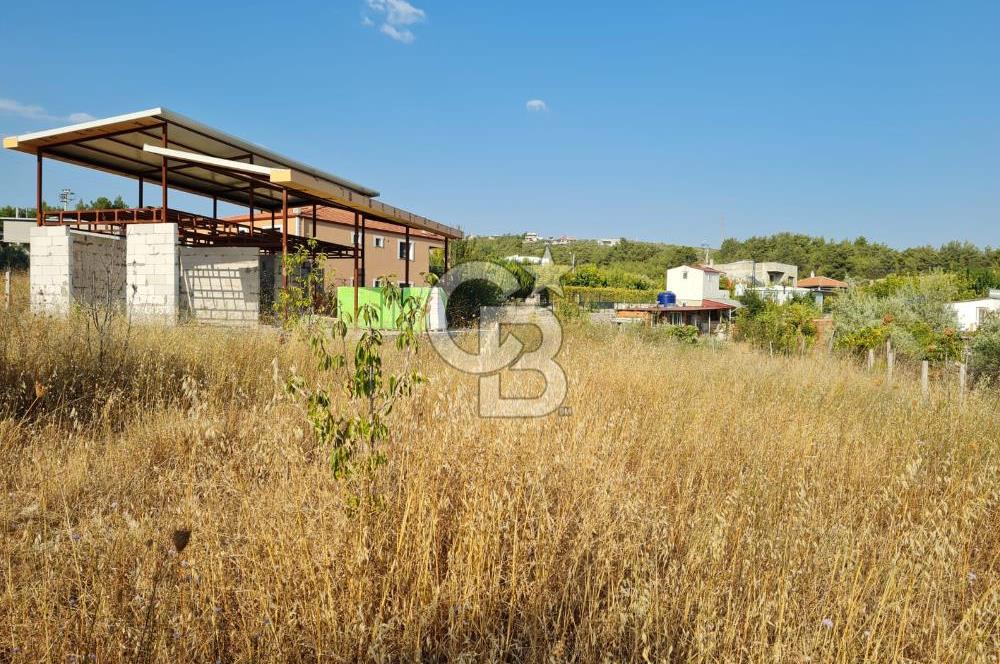 Belenbaşı'nda Müstakil Tapulu Doğayla İç İçe Arsa