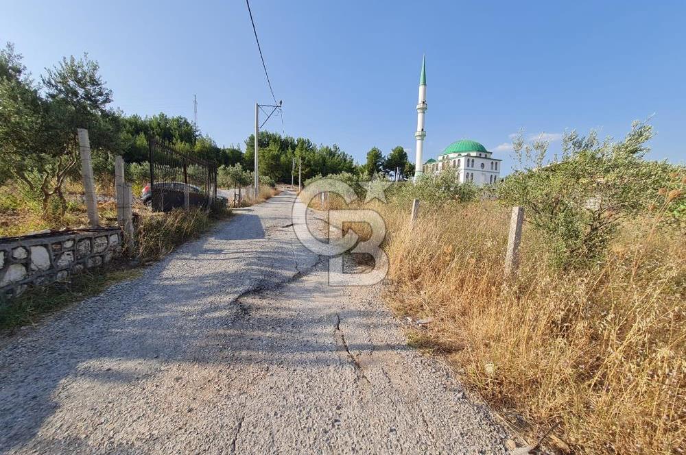 Belenbaşı'nda Müstakil Tapulu Doğayla İç İçe Arsa