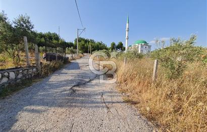 Belenbaşı'nda Müstakil Tapulu Doğayla İç İçe Arsa