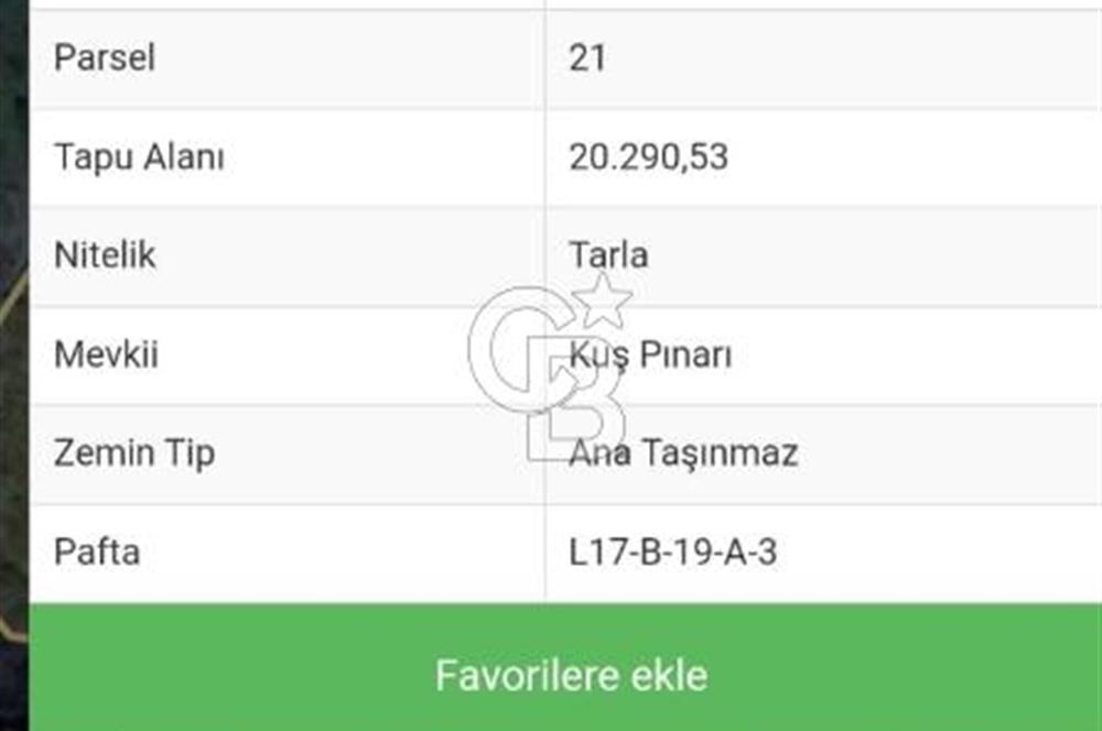 GÜZELBAHÇE PAYAMLI KÖYÜNDE ANAYOLA YOLA 200 VE ORMAN YOLUNA 200 MERTE CEPHELİ 20.290,51 M² SATILIK TARLA