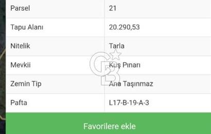 GÜZELBAHÇE PAYAMLI KÖYÜNDE ANAYOLA YOLA 200 VE ORMAN YOLUNA 200 MERTE CEPHELİ 20.290,51 M² SATILIK TARLA