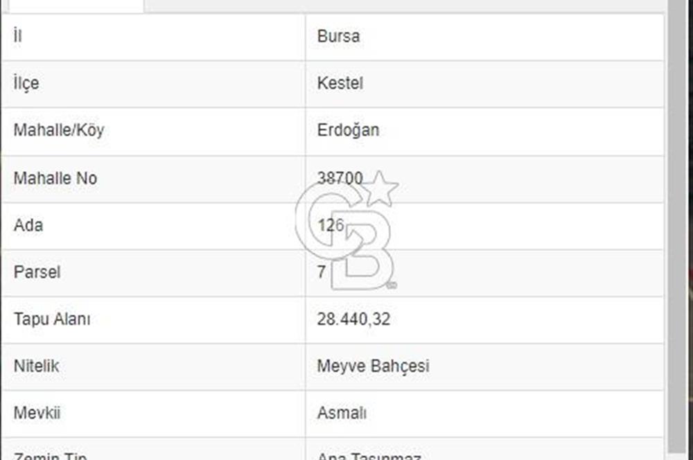 Bursa Kestel Erdoğan Mahallesinde Satılık 28.440 m2 Arazi!