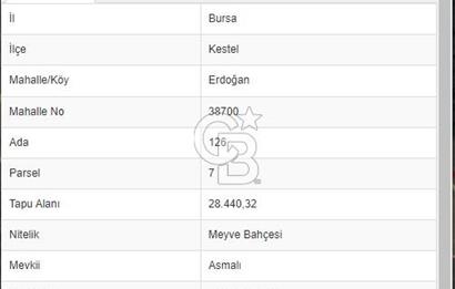 Bursa Kestel Erdoğan Mahallesinde Satılık 28.440 m2 Arazi!