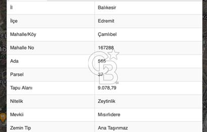 EDREMİT ÇAMLIBELDE EMSALSİZ GÜZELLİKTE SATILIK 9 DÖNÜM ZEYTİNLİK