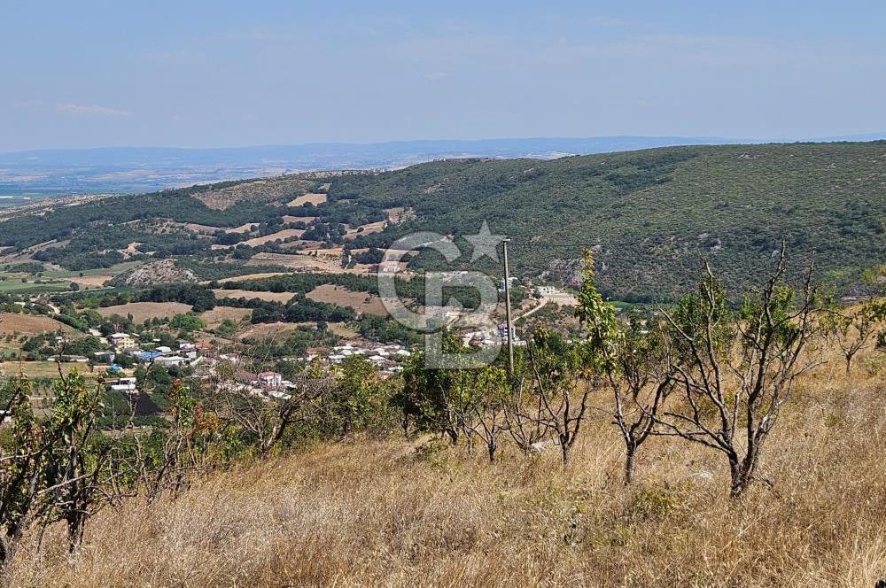 Bursa Kestel Erdoğan Mahallesinde Satılık 28.440 m2 Arazi!