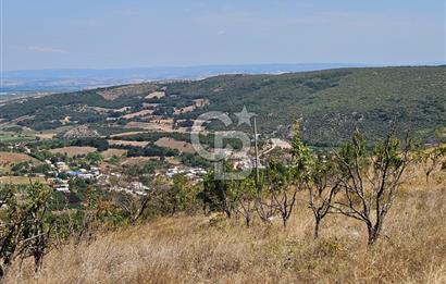 Bursa Kestel Erdoğan Mahallesinde Satılık 28.440 m2 Arazi!