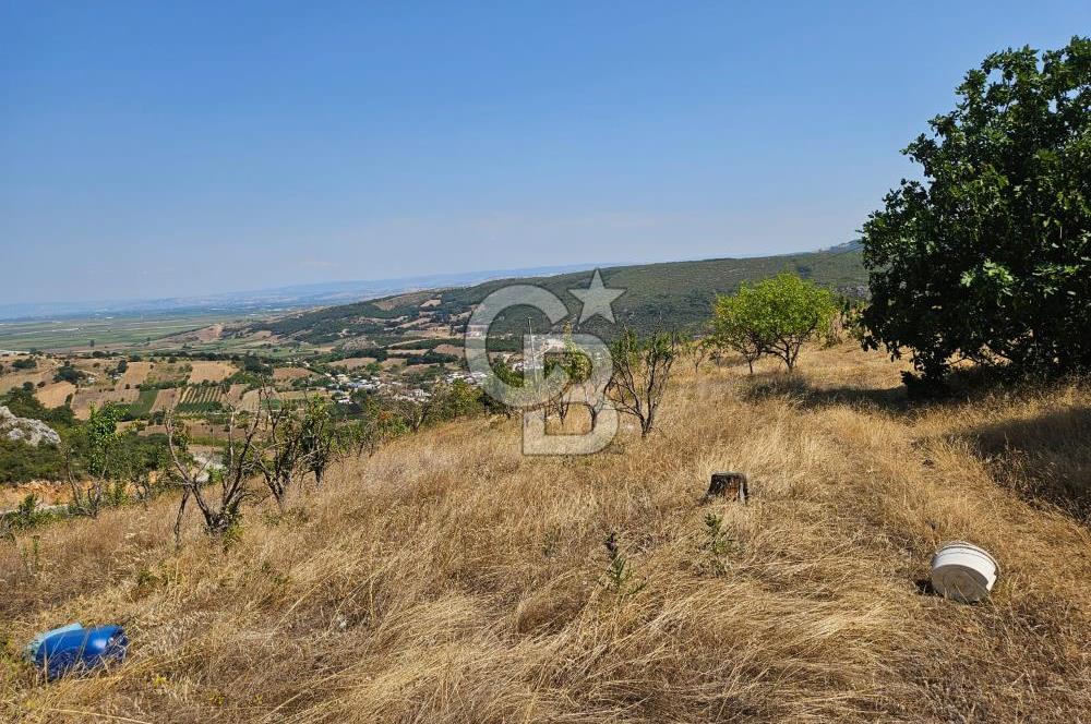 Bursa Kestel Erdoğan Mahallesinde Satılık 28.440 m2 Arazi!