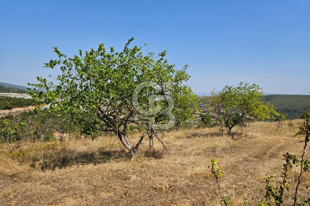 Bursa Kestel Erdoğan Mahallesinde Satılık 28.440 m2 Arazi!