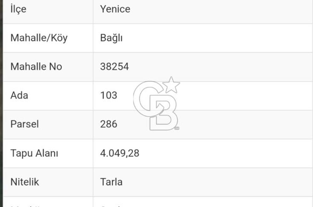 ÇANAKKALE|YENİCE|BAĞLI MH.-SARIKAYA MEVKİ-YATIRIMA UYGUN SATILIK TARLA