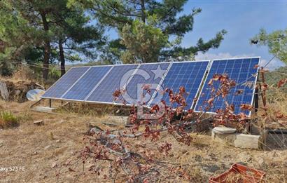 MENDERES YENİKÖY’DE DOĞAYLA İÇ İÇE HARİKA BAHÇE ZEYTİNLİK