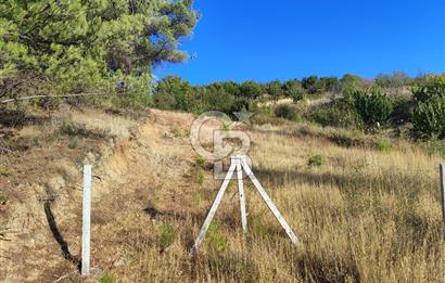 İzmir Kemalpaşa Damlacık Yaylasında Satılık 193 m² Tarla