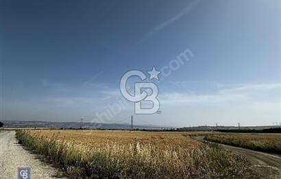 ÇANAKKALE GELİBOLU DA SATILIK ARSA 