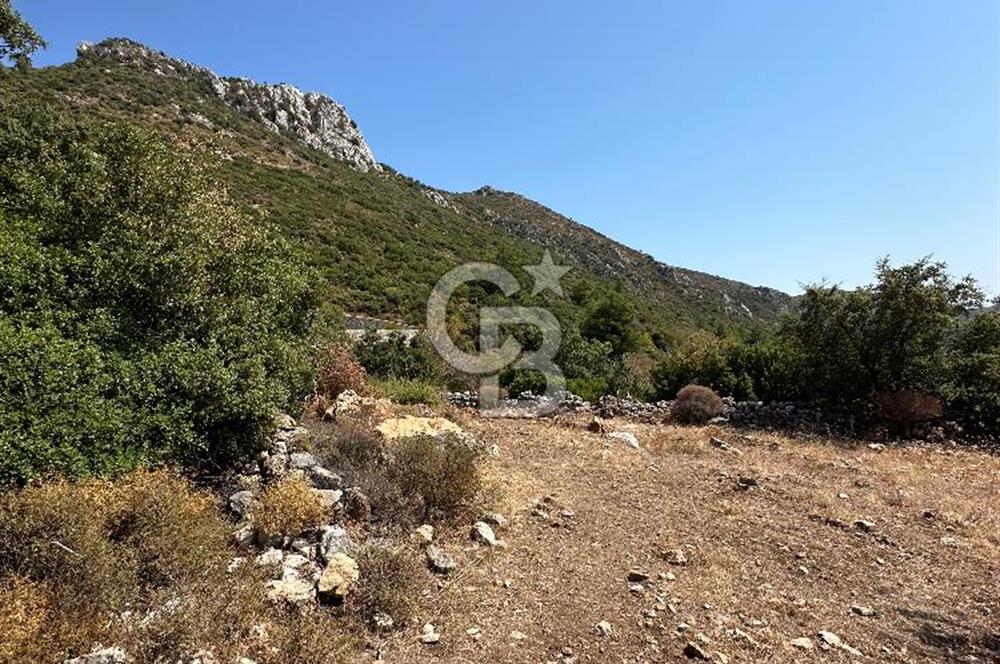 Marmaris Söğüt’te 1380m2 Deniz Manzaralı Tarla