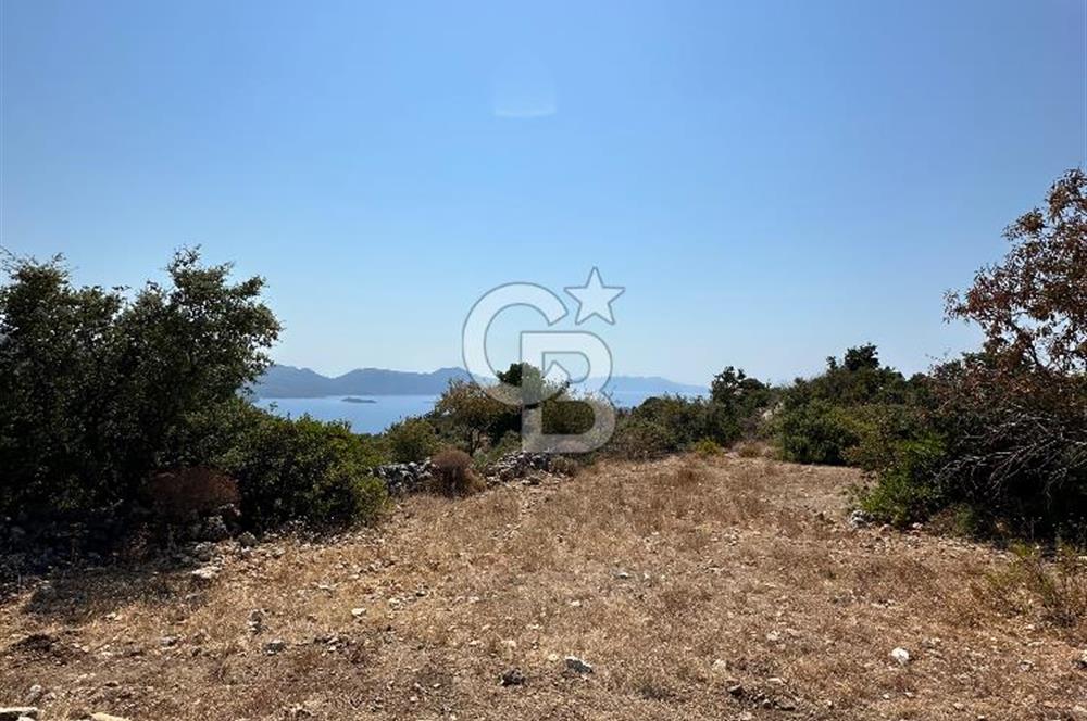 Marmaris Söğüt’te 1380m2 Deniz Manzaralı Tarla