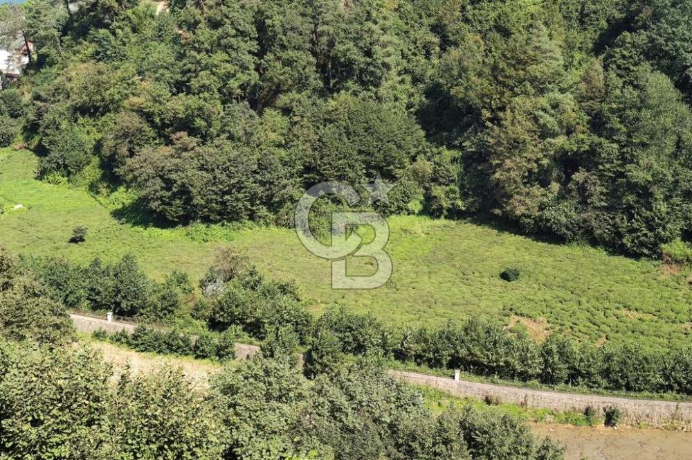 TRABZON OF SOĞUKPINAR ‘DA DENİZ MANZARALI İMARLI ARSA