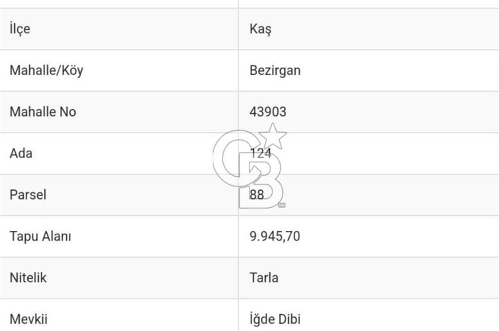 KAŞ-BEZİRGAN'DA 9946 M2 MÜSTAKİL TAPULU TARLA