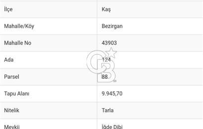 KAŞ-BEZİRGAN'DA 9946 M2 MÜSTAKİL TAPULU TARLA