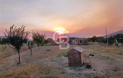 Kemalpaşa Armutlu Satılık Arsa 1965 m2