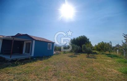 Kemalpaşa Armutlu Satılık Arsa 1800 m2