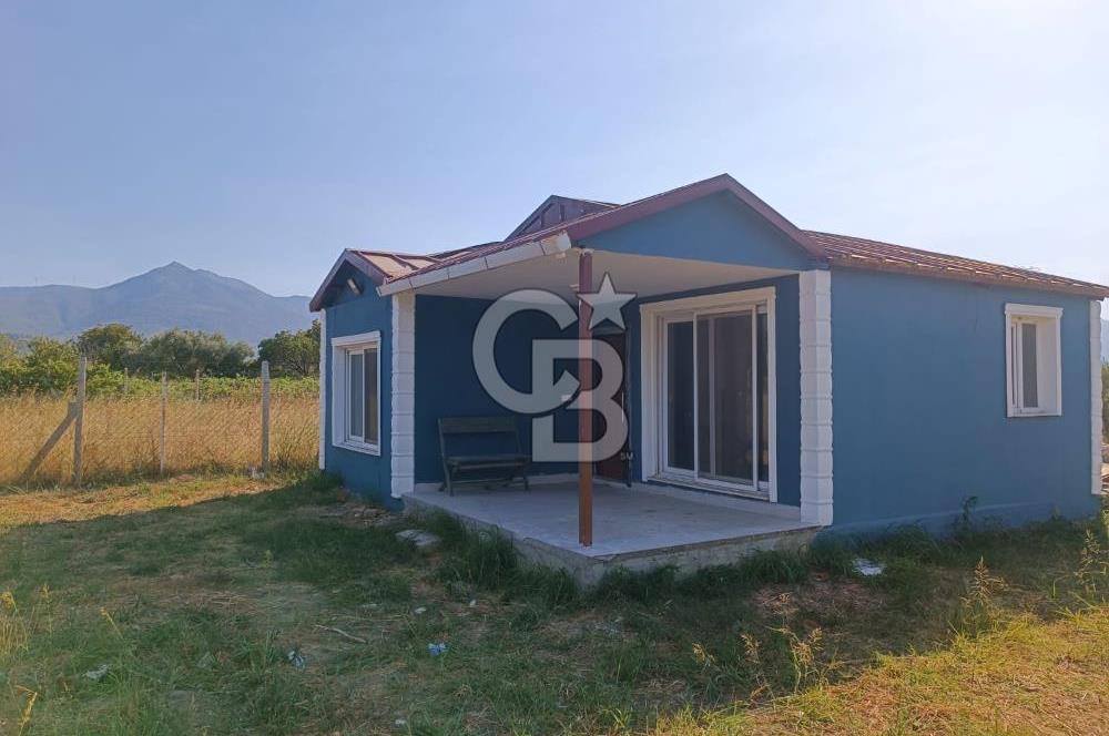 Kemalpaşa Armutlu Satılık Arsa 1800 m2