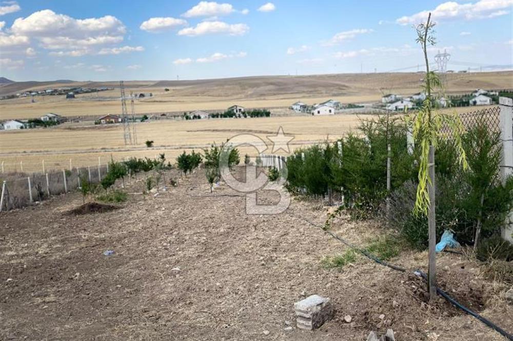 CB VİZYON SITKI ŞİMŞEK'TEN HOLOS MAH. VİLLA İMARLI BAHÇE