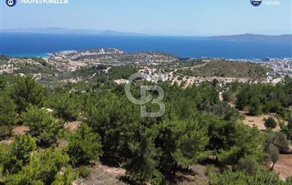 Karaburun Mordoğan'da Oksijeni Bol Yatırımlık Tarla