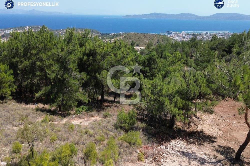 Karaburun Mordoğan'da Oksijeni Bol Yatırımlık Tarla