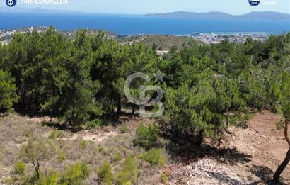 Karaburun Mordoğan'da Oksijeni Bol Yatırımlık Tarla