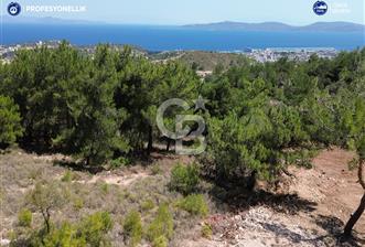 Karaburun Mordoğan'da Oksijeni Bol Yatırımlık Tarla