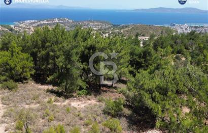 Karaburun Mordoğan'da Oksijeni Bol Yatırımlık Tarla