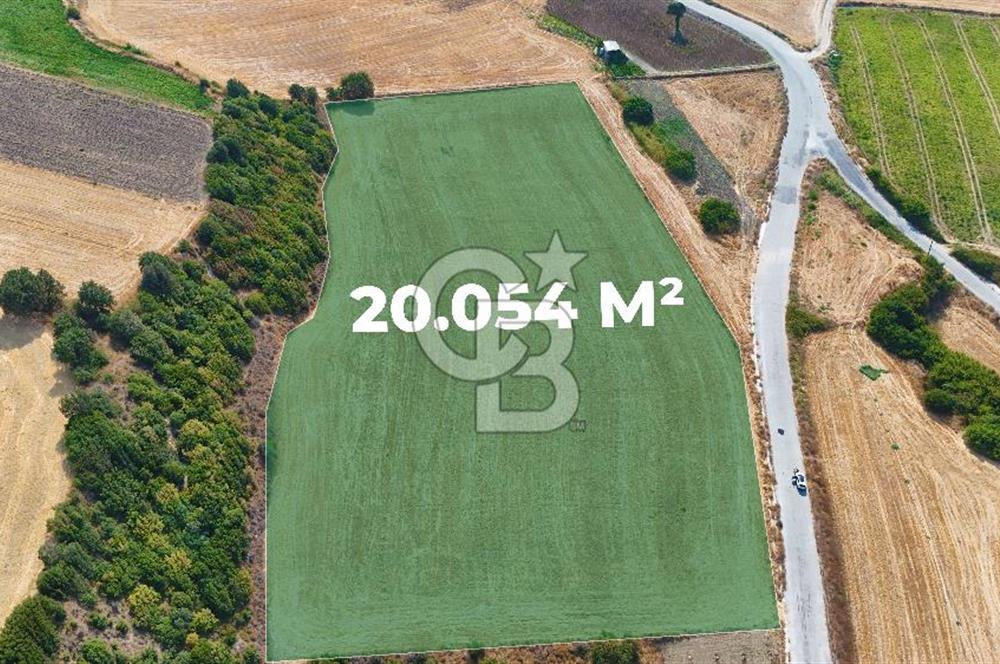 Halileli Köyünde Denize 500m Yola Cephe 20.054 m² Satık Tarla !