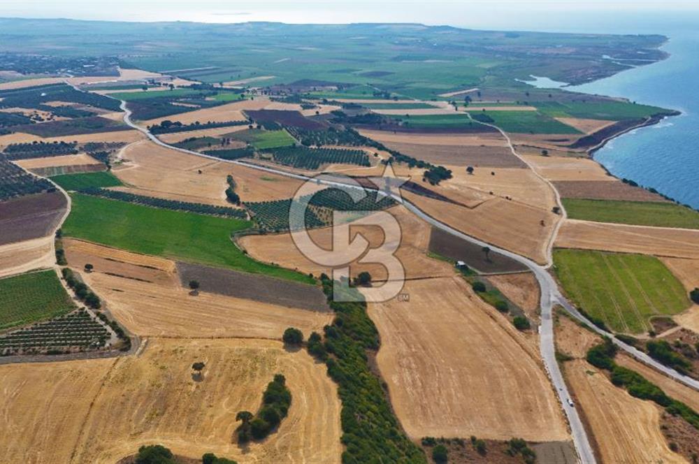 Halileli Köyünde Denize 500m Yola Cephe 20.054 m² Satık Tarla !