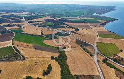 Halileli Köyünde Denize 500m Yola Cephe 20.054 m² Satık Tarla !