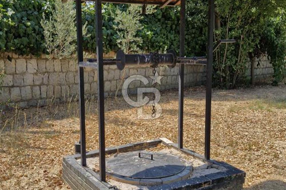 A CORNER OF HEAVEN IN THE KALABAK OF URLA, A HOUSE IN A FIELD