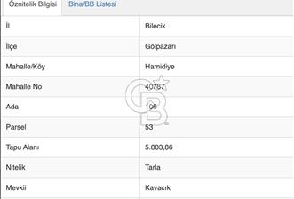 Bilecik Gölpazarı İlçesinde Ceviz Ekimine Elverişli 5.800 m2 Tarla