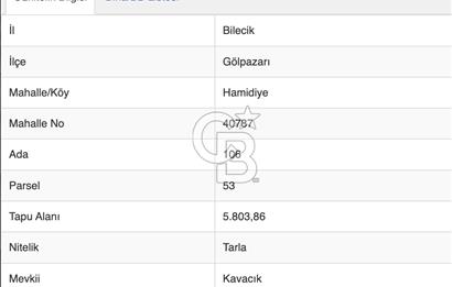 Bilecik Gölpazarı İlçesinde Ceviz Ekimine Elverişli 5.800 m2 Tarla