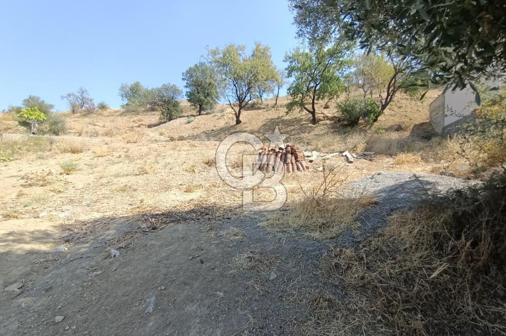 Havran Küçükdere mahallesinde köyiçi imarlı yola cephe , altyapılı  satılık 509 m2 arsa