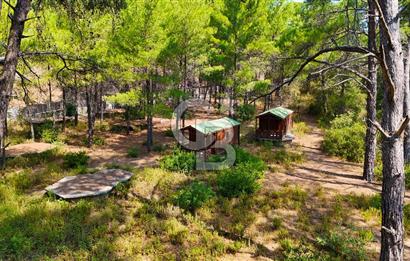 Marmaris, Bördübet Amazon Koyu'nda Azmak Yanında Satılık Arazi..