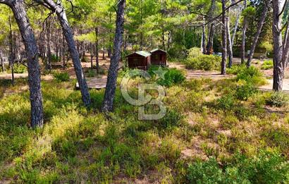 Marmaris, Bördübet Amazon Koyu'nda Azmak Yanında Satılık Arazi..