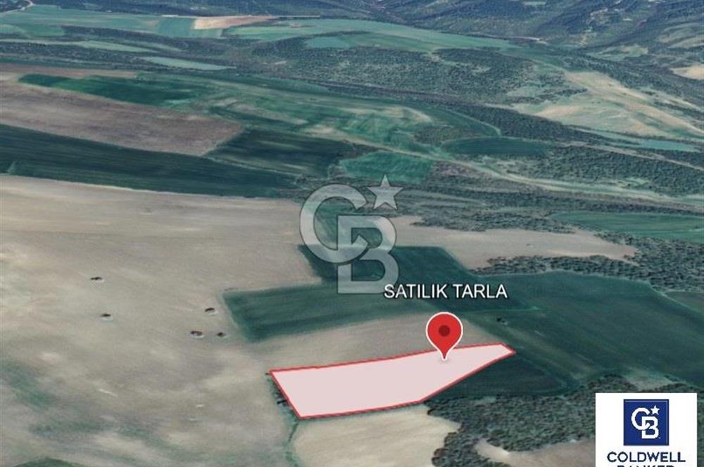 Şarköy'de Deniz Manzaralı 6973 m² Satılık Tarla