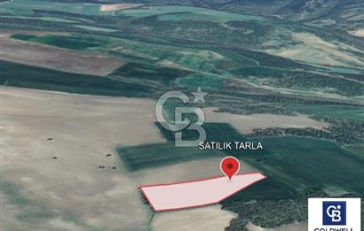 Şarköy'de Deniz Manzaralı 6973 m² Satılık Tarla