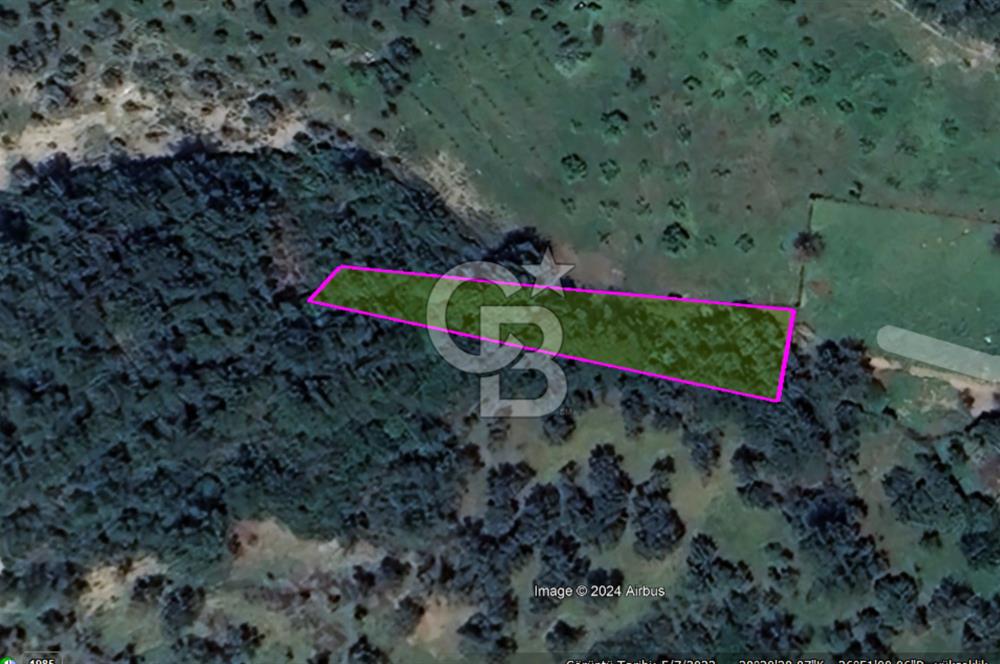 LAND FOR SALE WITH HIGH INVESTMENT VALUE IN GÜZELBAHÇE YELKİ